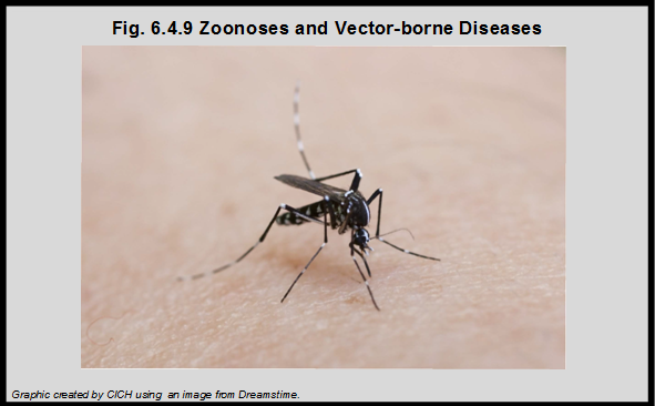Zoonoses and Vector-borne diseases – The Health of Canada’s Children